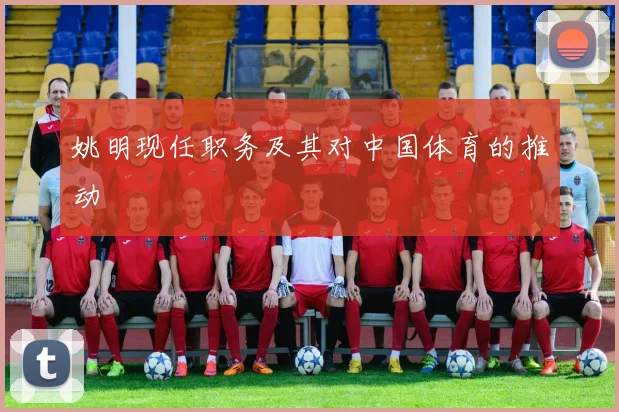 姚明现任职务及其对中国体育的推动